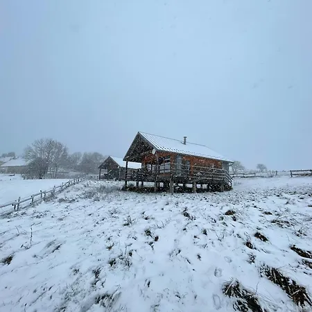 Chalet Des Gardettes, Belle Vue 1220M D'Altitude Montgreleix Extérieur photo